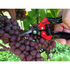 Barnel Pruner Needlenose Snip w/ Stainless Blade