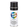 Touch N Tone Spray Paint 10OZ